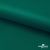 Ткань подкладочная Таффета, 19-5420, 53 г/м2, антистатик, шир. 150 см, вечнозеленый - купить в Кемерово. Цена 57.16 руб.