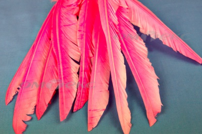 Декоративный Пучок из перьев, перо 25см/розовый - купить в Кемерово. Цена: 14.40 руб.