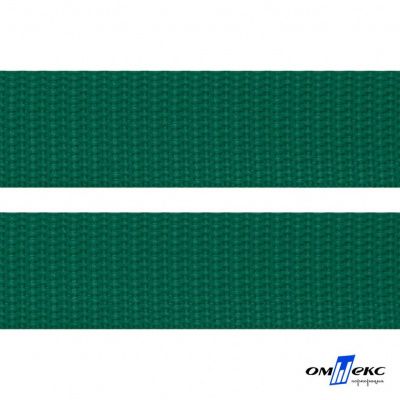 Зелёный- цв.876 -Текстильная лента-стропа 550 гр/м2 ,100% пэ шир.20 мм (боб.50+/-1 м) - купить в Кемерово. Цена: 318.85 руб.