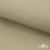Ткань подкладочная TWILL 230T 14-1108, беж светлый 100% полиэстер,66 г/м2, шир.150 cм - купить в Кемерово. Цена 90.59 руб.