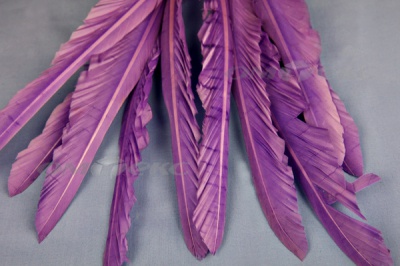 Декоративный Пучок из перьев, перо 25см/фиолетовый - купить в Кемерово. Цена: 12.19 руб.