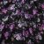 Плательная ткань "Фламенко" 20.1, 80 гр/м2, шир.150 см, принт растительный - купить в Кемерово. Цена 241.49 руб.