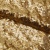 Сетка с пайетками №3, 188 гр/м2, шир.140см, цвет золотой - купить в Кемерово. Цена 454.12 руб.