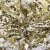 Трикотажное полотно, Сетка с пайетками, шир.130 см, #315, цв.-белый/золото - купить в Кемерово. Цена 693.39 руб.