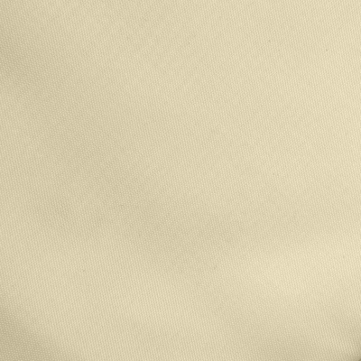 Ткань подкладочная Таффета 14-1014, антист., 54 гр/м2, шир.150см, цвет бежевый - купить в Кемерово. Цена 65.53 руб.