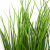 Трава искусственная -4, шт  (осока 50 см/8 см  7 листов)				 - купить в Кемерово. Цена: 130.73 руб.
